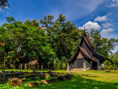Chiang Rai Temples & Golden Triangle Day Trip