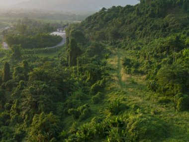 Akha Hill Tribe Jungle Trekking