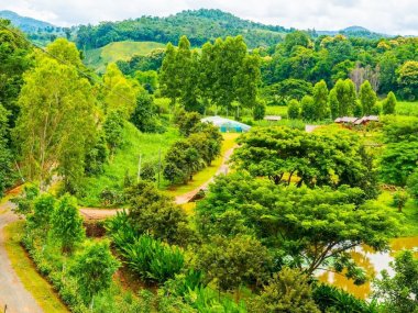 Akha Hill Tribe Jungle Trekking