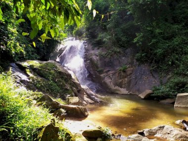 Akha Hill Tribe Jungle Trekking