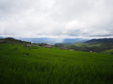 Ban Pa Pong Piang & Doi Inthanon – Rice Terraces of Northern Thailand