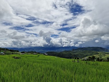 Ban Pa Pong Piang & Doi Inthanon – Rice Terraces of Northern Thailand