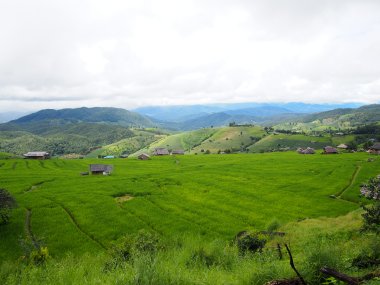 Ban Pa Pong Piang & Doi Inthanon – Rice Terraces of Northern Thailand