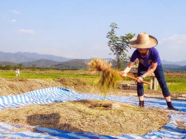 Chiang Mai Countryside, Rice Fields & Traditions – Thailand