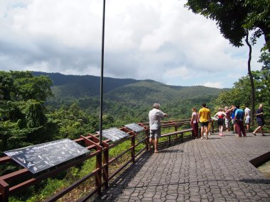 Sticky Waterfall Transfer – Bua Thong Falls from Chiang Mai