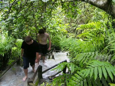 Sticky Waterfall Transfer – Bua Thong Falls from Chiang Mai