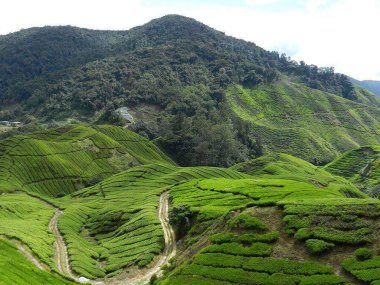 2 Days Chiang Rai & Golden Triangle Private Tour – Thailand