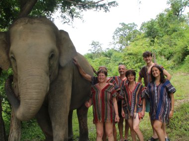 Full Day with Elephants at Thong Sanctuary – Chiang Mai