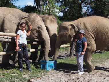 Full Day with Elephants at Thong Sanctuary – Chiang Mai