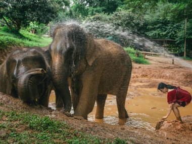Kerchor Elephant Eco Park – Ethical Elephant Sanctuary in Chiang Mai