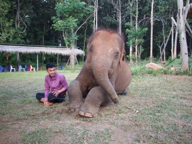Kerchor Elephant Eco Park – Ethical Elephant Sanctuary in Chiang Mai