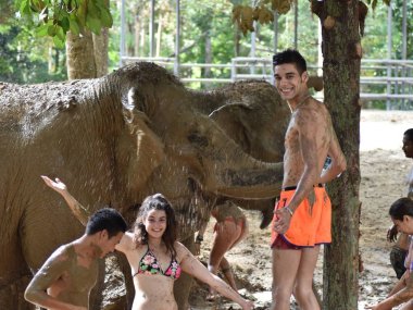 Elephant Jungle Sanctuary Koh Samui Half Day