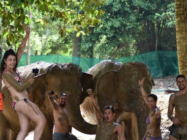 Elephant Jungle Sanctuary Koh Samui Half Day