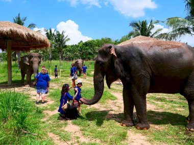 Living Green Pattaya Eco Experience