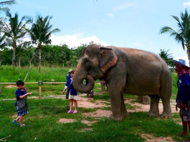 Living Green Pattaya Eco Experience