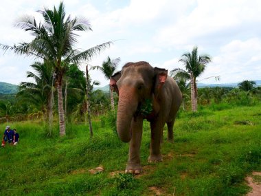 Living Green Pattaya Eco Experience