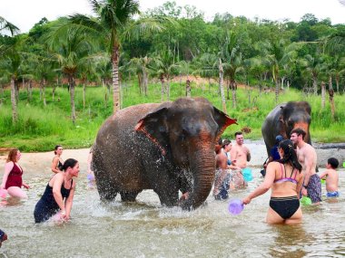 Living Green Pattaya Eco Experience