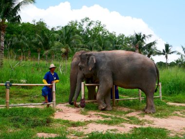 Living Green Pattaya Eco Experience