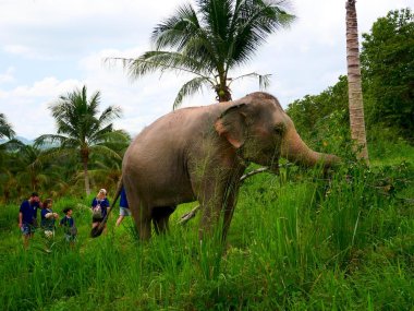 Living Green Pattaya Eco Experience