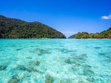 Surin Islands Day Tour