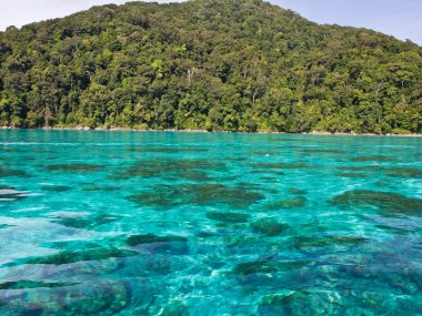 Surin Islands Day Tour