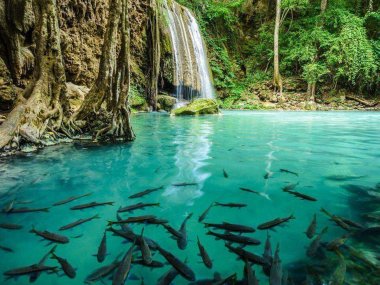 Erawan Waterfalls & River Kwai Day Tour – Thailand