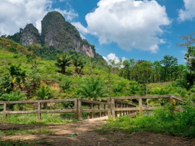 Khao Sok Lake Day Trip – Cheow Lan Lake Thailand