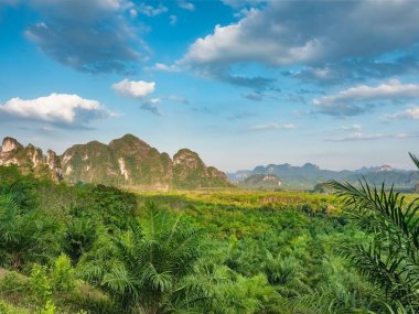 Khao Sok Lake Day Trip – Cheow Lan Lake Thailand