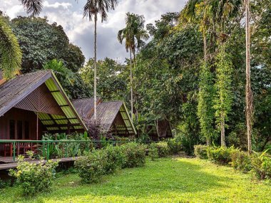 Khao Sok Rainforest & Lake 3 Days 2 Nights – Thailand