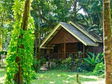 Khao Sok Rainforest & Lake 3 Days 2 Nights – Thailand