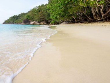 Similan Islands Day Trip from Khao Lak – Andaman Sea Thailand