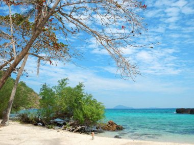 Khai Island Speedboat Day Trip