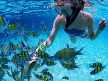 Khai Island Speedboat Day Trip