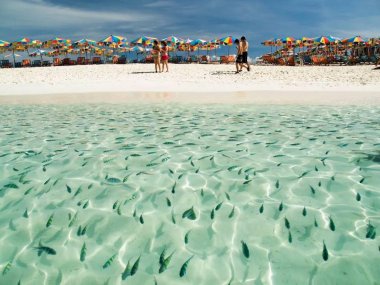 Khai Island Speedboat Day Trip