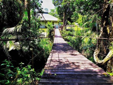 Khao Yai Wildlife & Jungle Day Tour – Thailand