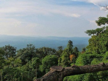 Khao Yai Wildlife & Jungle Day Tour – Thailand
