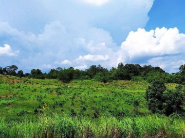 Khao Yai Wildlife & Jungle Day Tour – Thailand