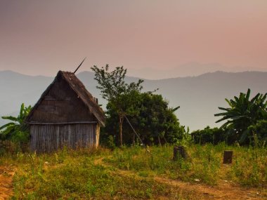 Mae Sapok 1 Day Trek – Karen Hill Tribe Experience
