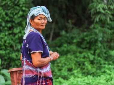 Mae Sapok 1 Day Trek – Karen Hill Tribe Experience