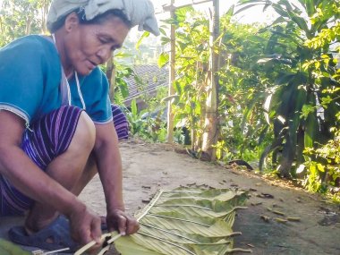 Mae Sapok 1 Day Trek – Karen Hill Tribe Experience