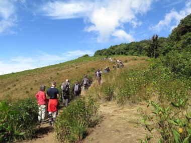 Eco Trekking with Karen People & Doi Inthanon – 2 Days in Thailand