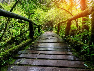 Eco Trekking with Karen People & Doi Inthanon – 2 Days in Thailand