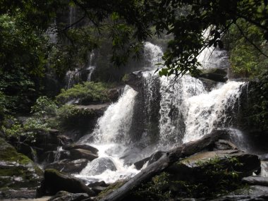Eco Trekking with Karen People & Doi Inthanon – 2 Days in Thailand