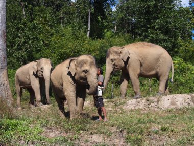 Doi Inthanon National Park & Elephant Sanctuary Tour – Thailand