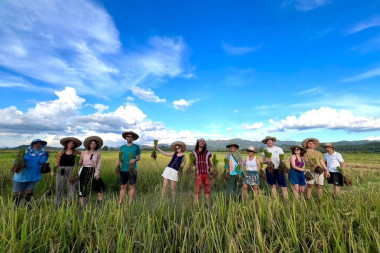 Chiang Mai Countryside, Rice Fields & Traditions – Thailand