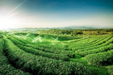 2 Days Chiang Rai & Golden Triangle Private Tour – Thailand