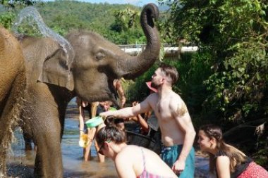 Half Day at Elephant Jungle Sanctuary – Chiang Mai