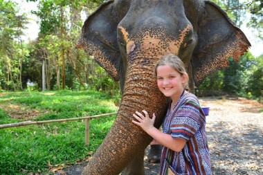 Half Day Elephant Jungle Sanctuary Phuket