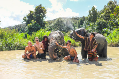 Half Day with Elephants in the Wild at Thong Sanctuary