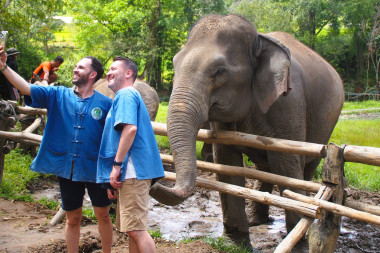 Elephant Sanctuary & Doi Inthanon Trekking – Full Day in Thailand